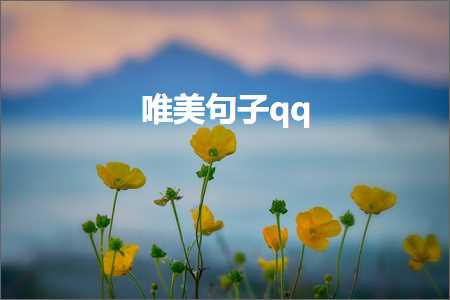 上海企业网站推广价格 唯美句子qq（文案664条）